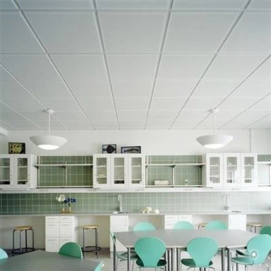 לוחות תקרת PVC לבן